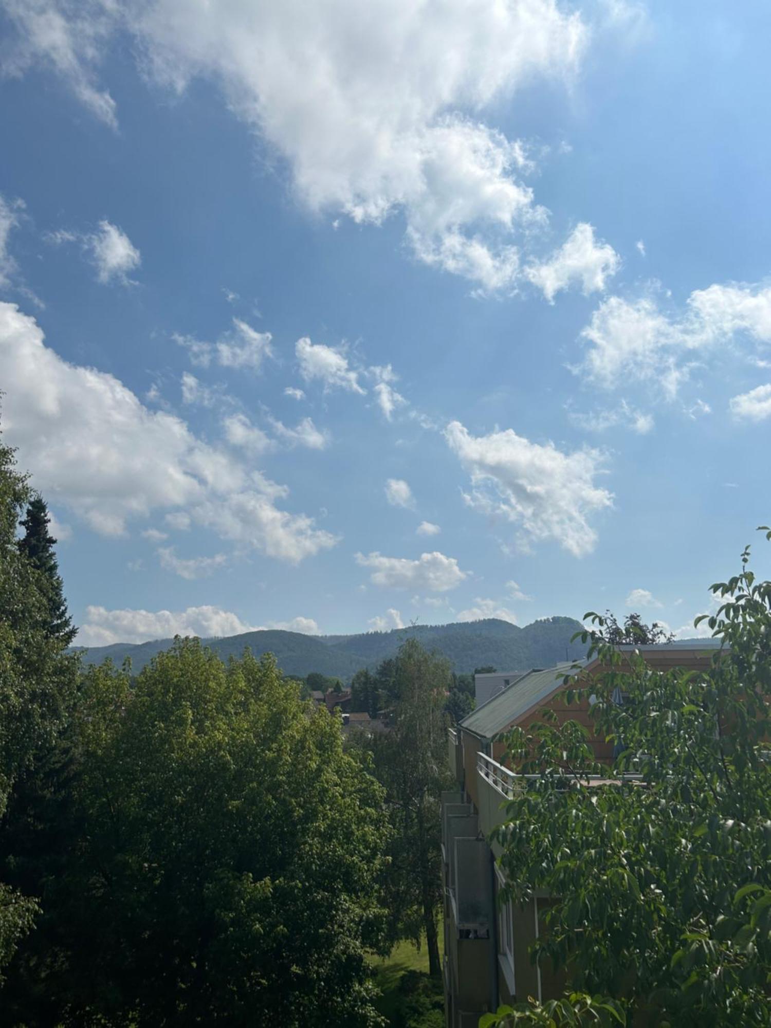 Penthouse ,,Kleine Auszeit" Lejlighed Bad Harzburg Eksteriør billede
