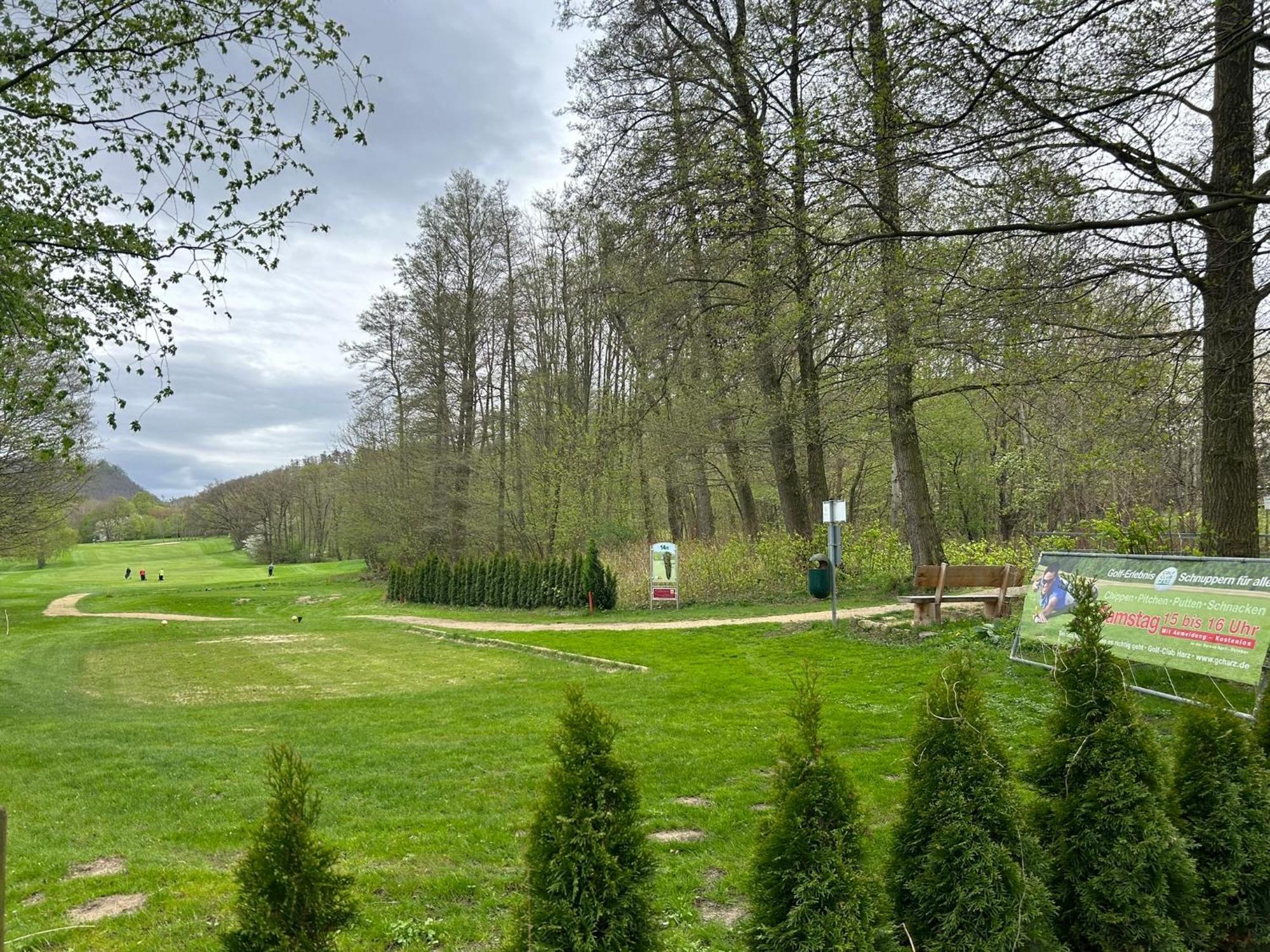 Penthouse ,,Kleine Auszeit" Lejlighed Bad Harzburg Eksteriør billede